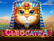 Cool cat casino. Sal kasa dorse.95